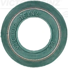 Seal Ring, valve stem